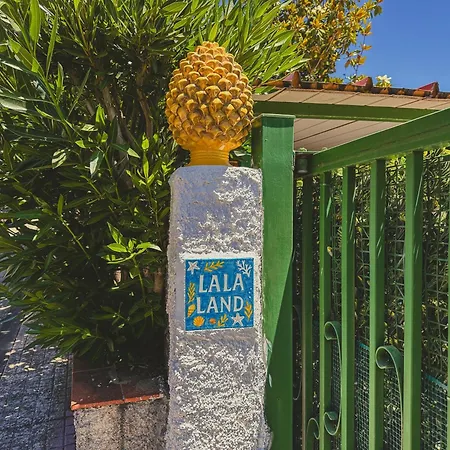 La La Land